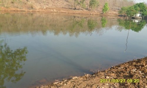 Rainwater Harvesting – Mukta Jivan, Vehloli (2011)